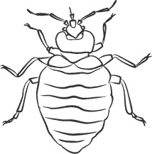 Иллюстрация к книге — 1111 удивительных фактов, которых вы не знали [i_140.jpg]