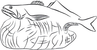 Иллюстрация к книге — 1111 удивительных фактов, которых вы не знали [i_152.jpg]