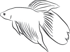 Иллюстрация к книге — 1111 удивительных фактов, которых вы не знали [i_159.jpg]