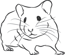 Иллюстрация к книге — 1111 удивительных фактов, которых вы не знали [i_166.jpg]