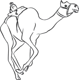 Иллюстрация к книге — 1111 удивительных фактов, которых вы не знали [i_168.jpg]