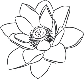 Иллюстрация к книге — 1111 удивительных фактов, которых вы не знали [i_183.jpg]