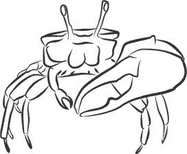 Иллюстрация к книге — 1111 удивительных фактов, которых вы не знали [i_186.jpg]