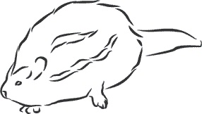 Иллюстрация к книге — 1111 удивительных фактов, которых вы не знали [i_198.jpg]