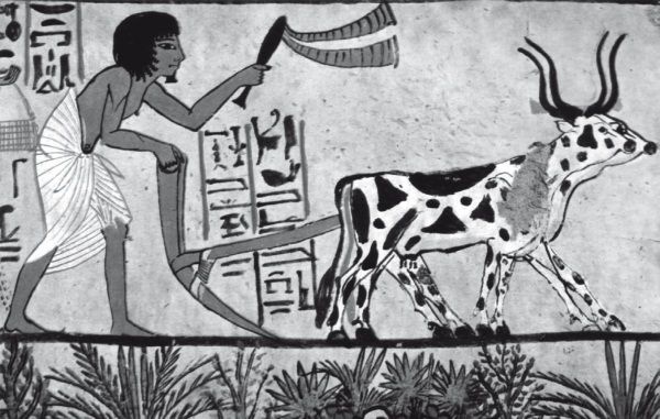 Иллюстрация к книге — История ислама. Исламская цивилизация от рождения до наших дней [i_014.jpg]