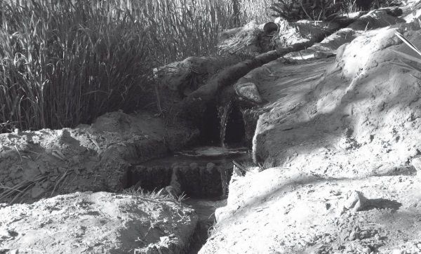 Иллюстрация к книге — История ислама. Исламская цивилизация от рождения до наших дней [i_018.jpg]