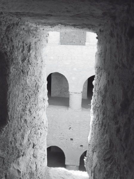 Иллюстрация к книге — История ислама. Исламская цивилизация от рождения до наших дней [i_061.jpg]