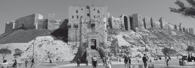 Иллюстрация к книге — История ислама. Исламская цивилизация от рождения до наших дней [i_235.jpg]