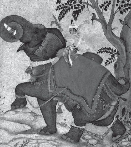 Иллюстрация к книге — История ислама. Исламская цивилизация от рождения до наших дней [i_259.jpg]