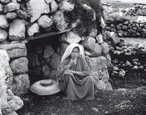 Иллюстрация к книге — История ислама. Исламская цивилизация от рождения до наших дней [i_314.jpg]