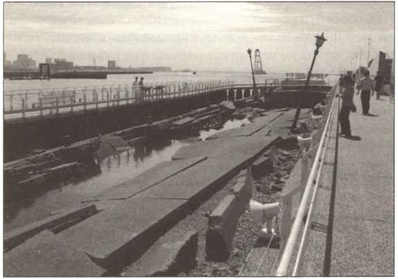 Иллюстрация к книге — Русская Япония [i_045.jpg]