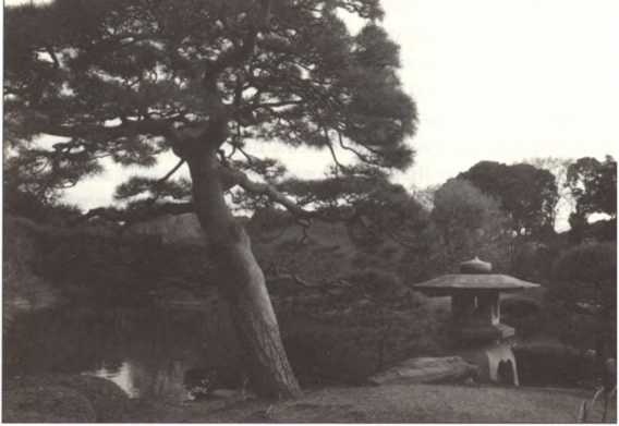 Иллюстрация к книге — Русская Япония [i_066.jpg]