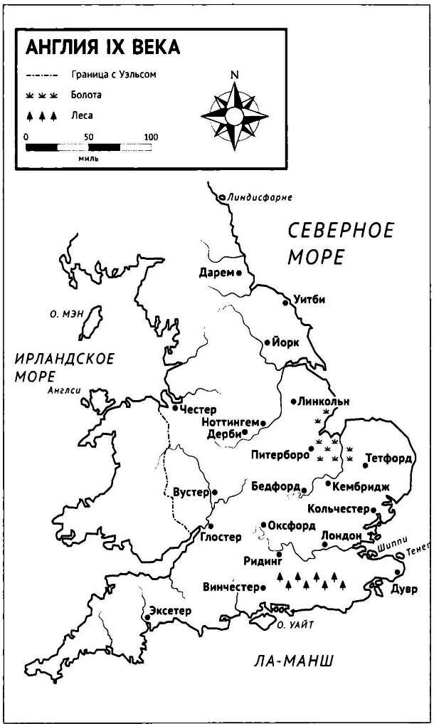 Иллюстрация к книге — Альфред Великий и война с викингами [_003.jpg]