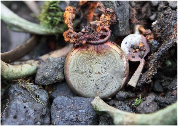 Иллюстрация к книге — Загадка штурмана Альбанова [i_023.jpg]