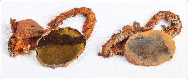 Иллюстрация к книге — Загадка штурмана Альбанова [i_030.jpg]