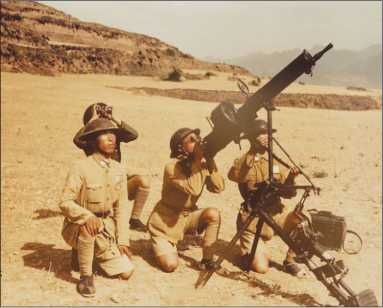 Иллюстрация к книге — Все китайские танки. "Бронированные драконы" Поднебесной [i_022.jpg]