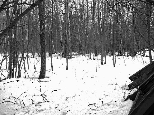 Иллюстрация к книге — Кровавые ночи 1937 года. Кремль против Лубянки [autogen_ebook_id3.jpg]