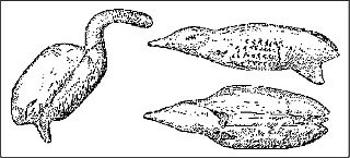 Иллюстрация к книге — Покорение Сибири. От Ермака до Беринга [_02.jpg]