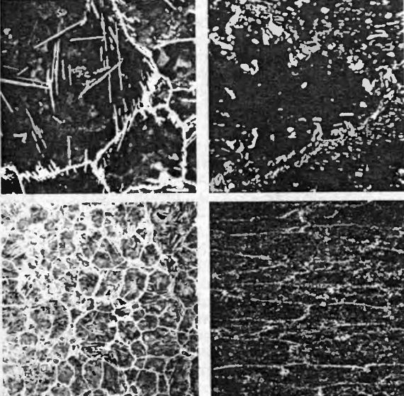 Иллюстрация к книге — Оружие из дамаска и булата [pic_18.jpg]