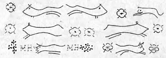 Иллюстрация к книге — Оружие из дамаска и булата [pic_35.jpg]