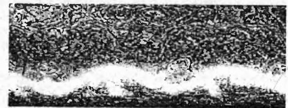 Иллюстрация к книге — Оружие из дамаска и булата [pic_54.jpg]