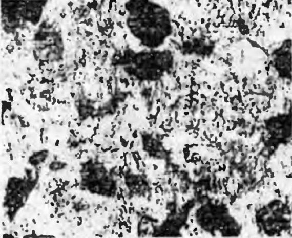 Иллюстрация к книге — Оружие из дамаска и булата [pic_94.jpg]