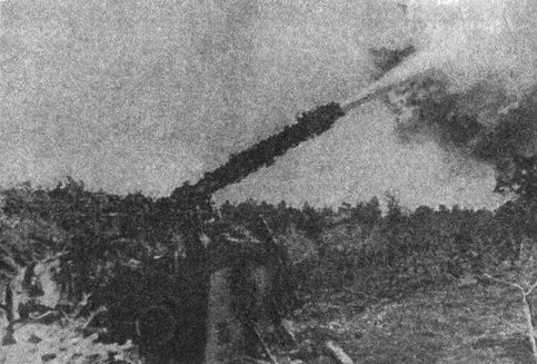 Иллюстрация к книге — 1941 год на Балтике. Подвиг и трагедия [i_033.jpg]