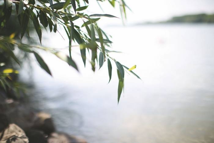 Иллюстрация к книге — Дунай. Река империй [i_171.jpg]