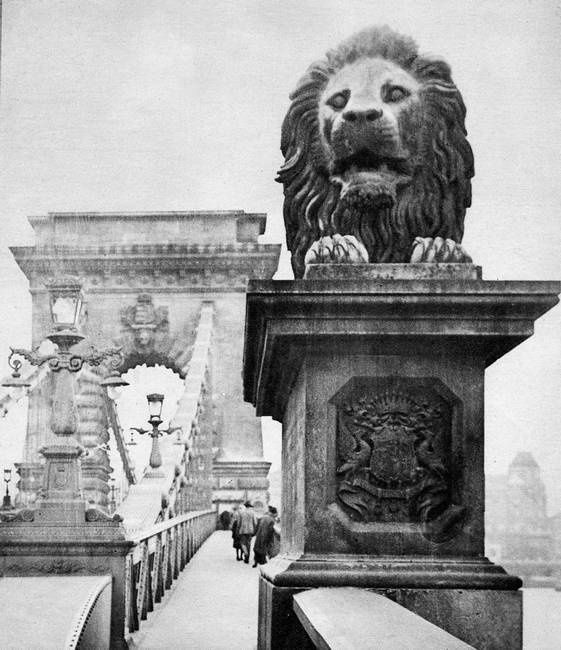 Иллюстрация к книге — Австро-Венгрия. Судьба империи [i_037.jpg]