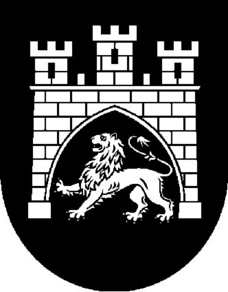 Иллюстрация к книге — Австро-Венгрия. Судьба империи [i_134.jpg]