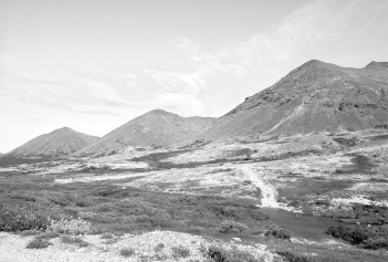 Иллюстрация к книге — Русские булки. Великая сила еды [i_013.jpg]