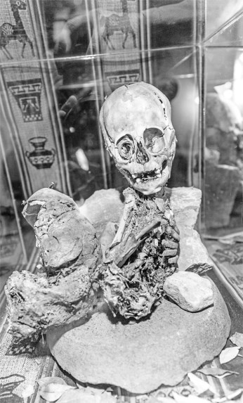 Иллюстрация к книге — Русские булки. Великая сила еды [i_014.jpg]