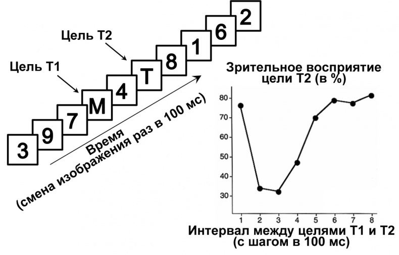 Иллюстрация к книге — Сознание и мозг. Как мозг кодирует мысли [i_006.jpg]