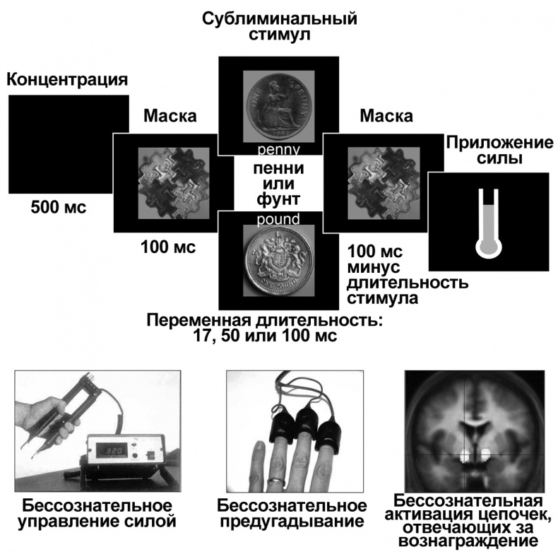 Иллюстрация к книге — Сознание и мозг. Как мозг кодирует мысли [i_014.jpg]