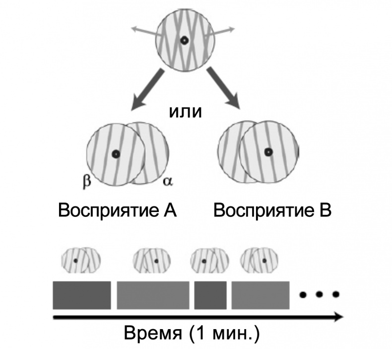 Иллюстрация к книге — Сознание и мозг. Как мозг кодирует мысли [i_017.jpg]