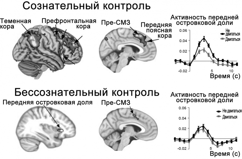 Иллюстрация к книге — Сознание и мозг. Как мозг кодирует мысли [i_019.jpg]