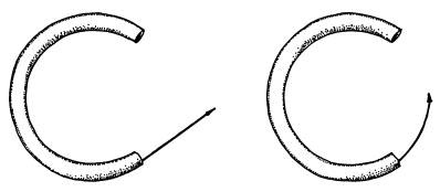 Иллюстрация к книге — Рождение сложности. Эволюционная биология сегодня. Неожиданные открытия и новые вопросы [i_001.jpg]