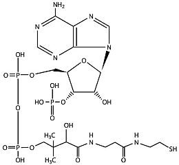 Иллюстрация к книге — Рождение сложности. Эволюционная биология сегодня. Неожиданные открытия и новые вопросы [i_006.jpg]