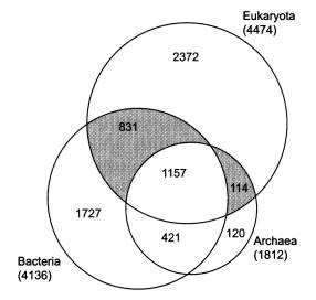 Иллюстрация к книге — Рождение сложности. Эволюционная биология сегодня. Неожиданные открытия и новые вопросы [i_015.jpg]