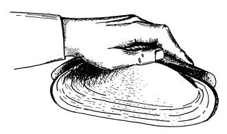 Иллюстрация к книге — Рождение сложности. Эволюционная биология сегодня. Неожиданные открытия и новые вопросы [i_019.jpg]