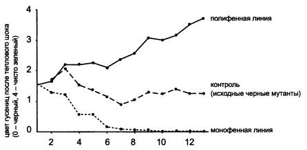 Иллюстрация к книге — Рождение сложности. Эволюционная биология сегодня. Неожиданные открытия и новые вопросы [i_033.jpg]