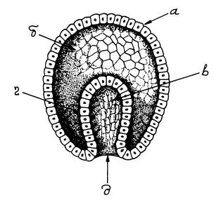 Иллюстрация к книге — Рождение сложности. Эволюционная биология сегодня. Неожиданные открытия и новые вопросы [i_043.jpg]