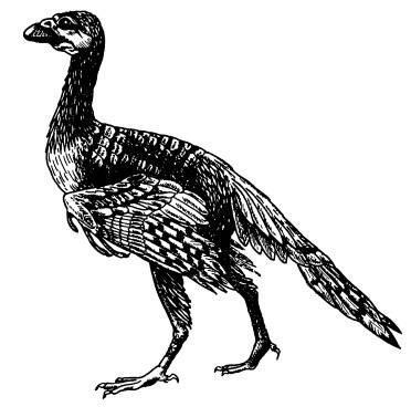 Иллюстрация к книге — Рождение сложности. Эволюционная биология сегодня. Неожиданные открытия и новые вопросы [i_060.jpg]