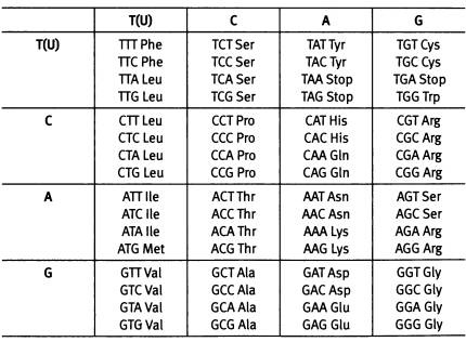 Иллюстрация к книге — Рождение сложности. Эволюционная биология сегодня. Неожиданные открытия и новые вопросы [i_083.jpg]