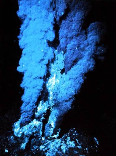 Иллюстрация к книге — Рождение сложности. Эволюционная биология сегодня. Неожиданные открытия и новые вопросы [i_085.jpg]