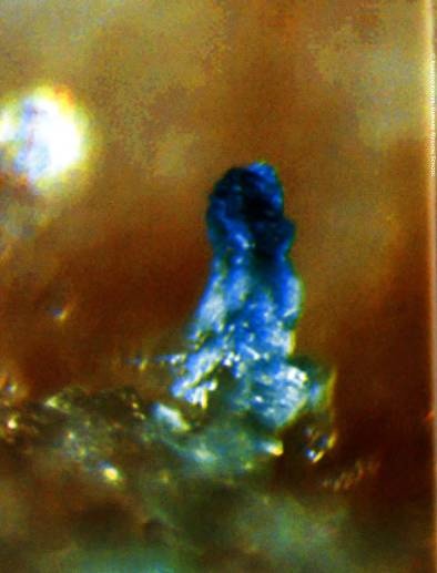 Иллюстрация к книге — Рождение сложности. Эволюционная биология сегодня. Неожиданные открытия и новые вопросы [i_091.jpg]