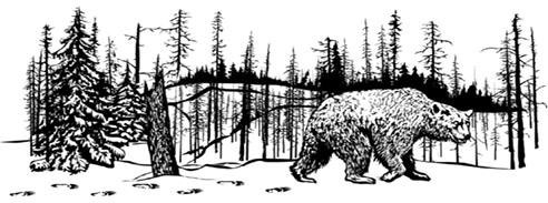 Иллюстрация к книге — Лесные тайнички [i_005.jpg]