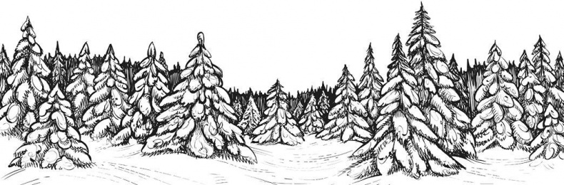 Иллюстрация к книге — Лесные тайнички [i_012.jpg]