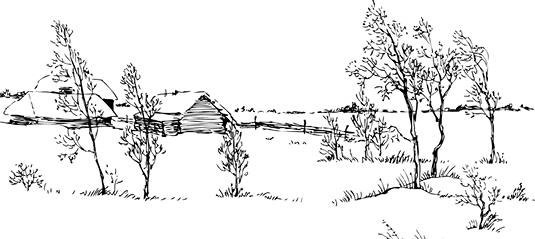 Иллюстрация к книге — Лесные тайнички [i_016.jpg]