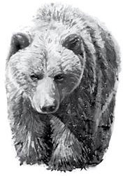 Иллюстрация к книге — Лесные тайнички [i_043.jpg]